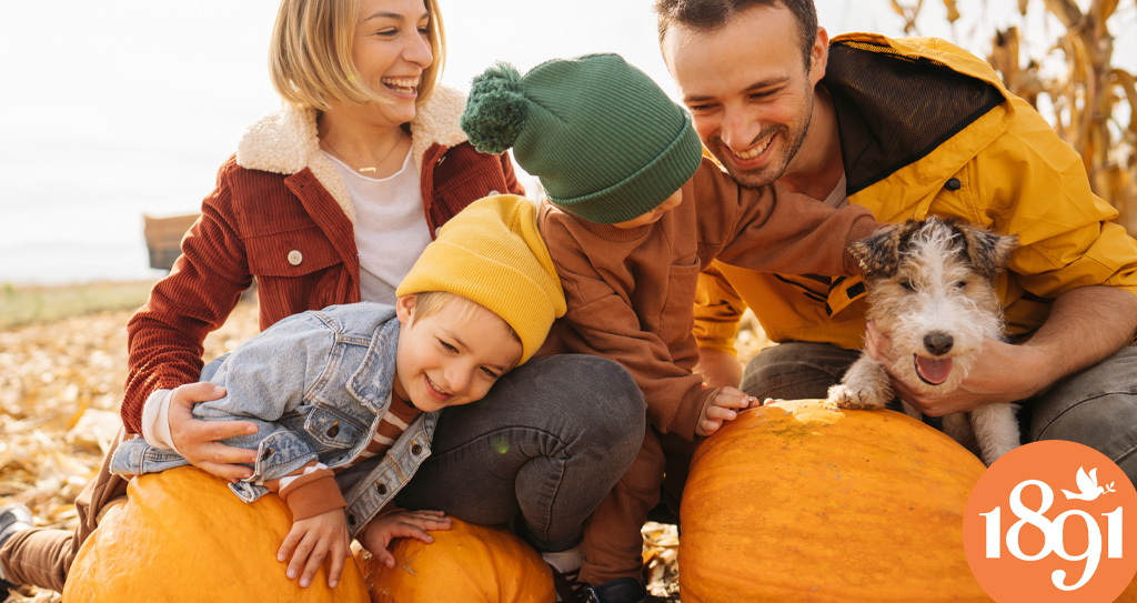 Selecting the right life insurance coverage is like picking pumpkins on a crisp autumn day. Just as you carefully choose the perfect pumpkins to carve and decorate, determining your life insurance needs helps you carve out a secure future for your loved ones. With the right amount of coverage, you'll enjoy the same peace of mind that comes from finding that flawless pumpkin in a picturesque pumpkin patch.